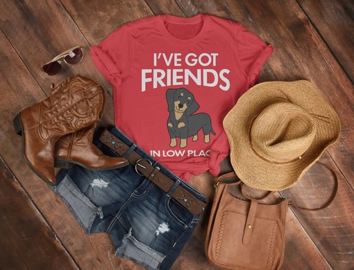 Funny Dog Saying Shirts, I've Got Friends in Low Places Unisex Shirt, Retro Vintage Dachshund and Corgi Shirt - Image 3