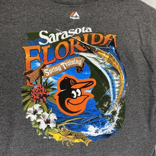 Get Your Baltimore Orioles Spring Training Gear with This Gray T-Shirt, Collegiate Shirts - Image 2