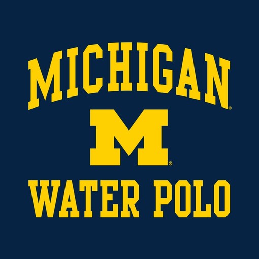 Go Wolverines with this stylish Basketball Peak Crewneck Shirt - Image 2