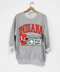 Grab Your Favorite Wisconsin Badgers Shirt Or Hoodie in T-Shirt, Hoodie style