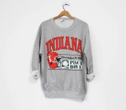 Grab Your Favorite Wisconsin Badgers Shirt Or Hoodie in T-Shirt, Hoodie style