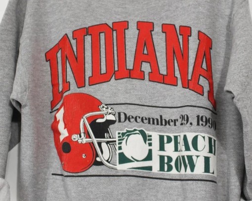 Grab Your Favorite Wisconsin Badgers Shirt Or Hoodie in T-Shirt, Hoodie style - Image 2