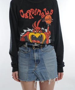Hamilton Cardinals Sweatshirt for University Football, Perfect for Cardinals Sports Fans and University Students