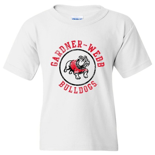 Hampton Pirates Arch Logo College Shirt, Sweatshirt Pullover Hoodie For Fans