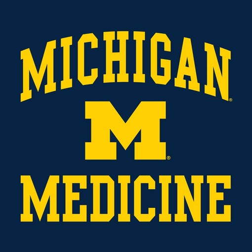 Hit a home run with this Michigan Wolverines Baseball Field Crewneck Shirt - Image 2