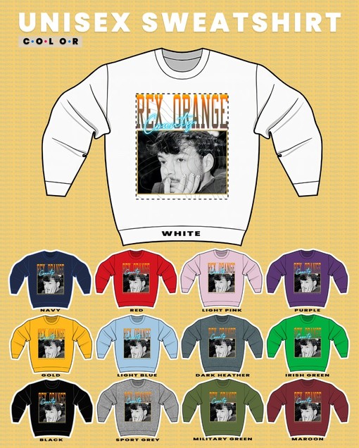 Homage to Rex Orange County Sweatshirt - Minimalist Fan Sweater - Image 3