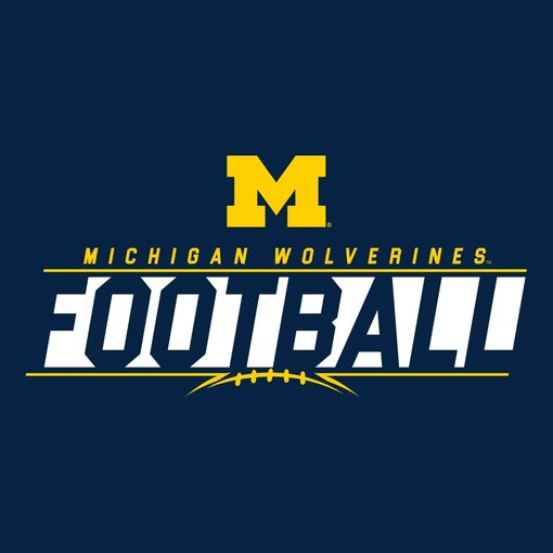 "I Married into This" Michigan Wolverines Fan Crewneck Shirt for Men and Women - Image 2