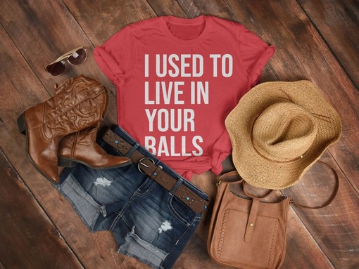 I USED TO Live In Your Balls Unisex Shirt, Dear Dad Shirt, Funny Fathers Day Tee, Husband Gift, Fathers Day Gift - Image 3