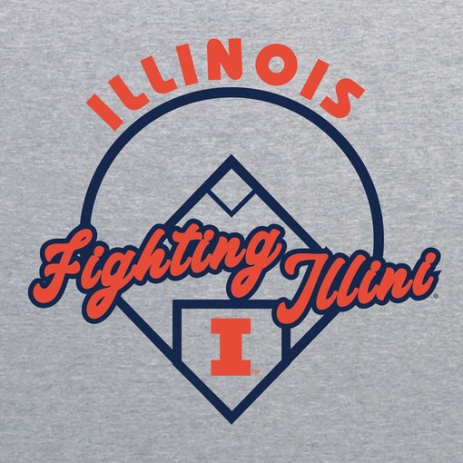 Illinois Fighting Illini Classic Alumni State University Shirt Illinois Home Champion Hoodie Gift - Image 2