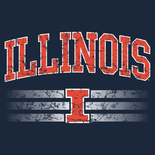 Illinois Fighting Illini Holiday Vintage NCAA Shirt Illinois Home Champion Hoodie Gift, Vintage Illinois Sweatshirt - Image 2