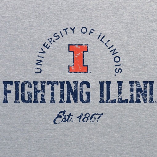 Illinois Fighting Illini Marker Repeat State University Shirt Illinois Home Champion Hoodie Gift - Image 2