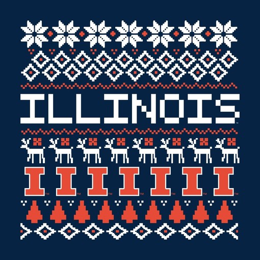 Illinois Fighting Illini Plaid Circle College Shirt Illinois Home Champion Hoodie Gift, Vintage Illinois Sweatshirt - Image 2