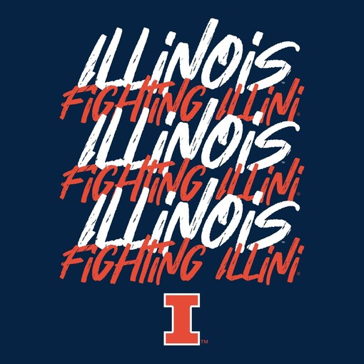 Illinois Fighting Illini Stitch Arch NCAA Shirt Illinois Home Champion Hoodie Gift, Vintage Illinois Sweatshirt - Image 2