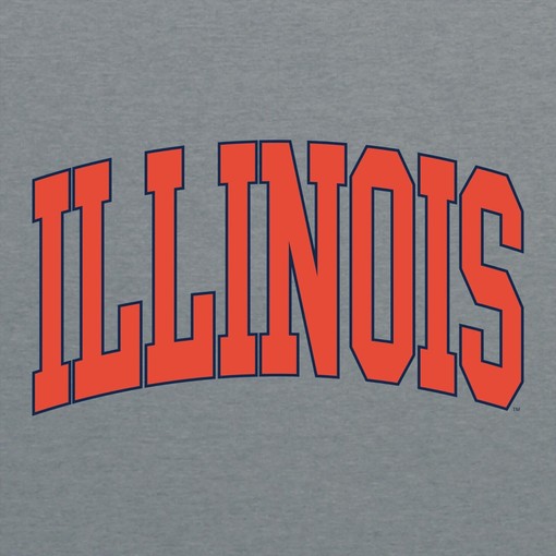 Illinois Fighting Illini Tie Die Type State University Shirt Illinois Home Champion Hoodie Gift - Image 2