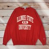 Illinois State University Vintage Style Crew Neck Sweatshirt Pullover - 90s Champion