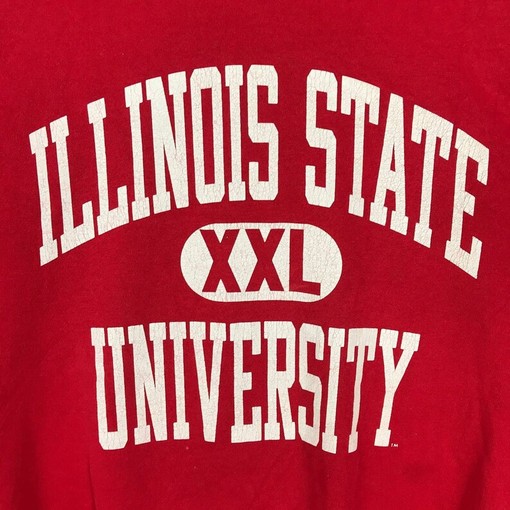 Illinois State University Vintage Style Crew Neck Sweatshirt Pullover - 90s Champion - Image 2