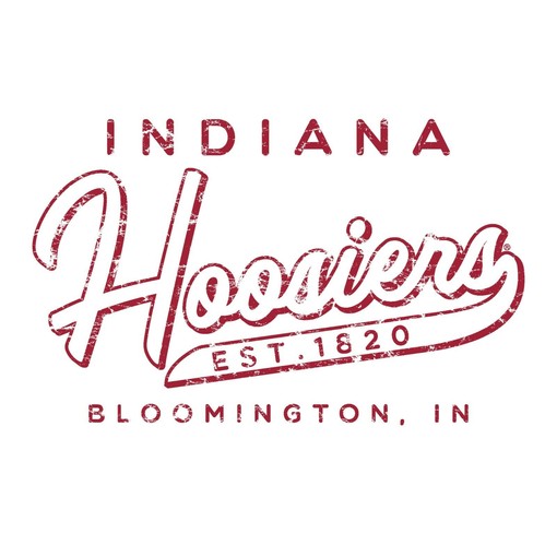 Indiana Hoosiers Vintage Basketball Shield Licensed State University Shirt, Vintage NCAA Sweatshirt - Image 2