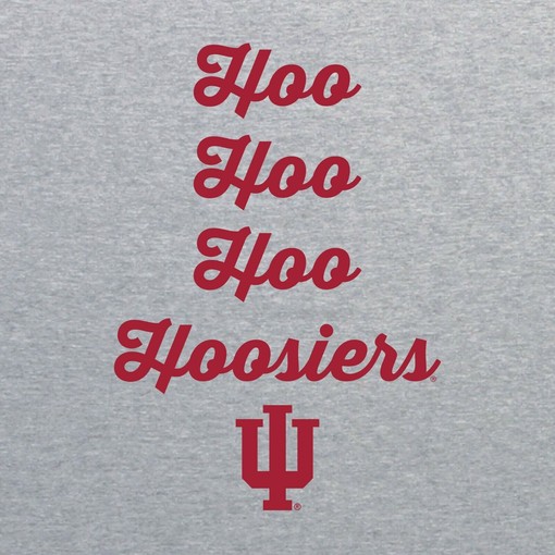 Indiana State Sycamores Primary Logo College Sweatshirt, Vintage University Of Indiana Hoosiers - Image 2