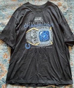 Indianapolis Colts Y2K Vintage Sweatshirt T-Shirt - Ideal Apparel for NFL Fans