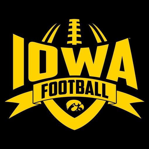 Iowa Hawkeyes Institutional Logo College Shirt, Iowa Fan Crewneck Sweatshirt - Image 2