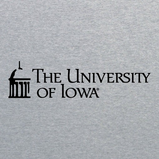 Iowa Hawkeyes University Basketball Sketch American University Shirt, Iowa Fan Crewneck Sweatshirt - Image 2