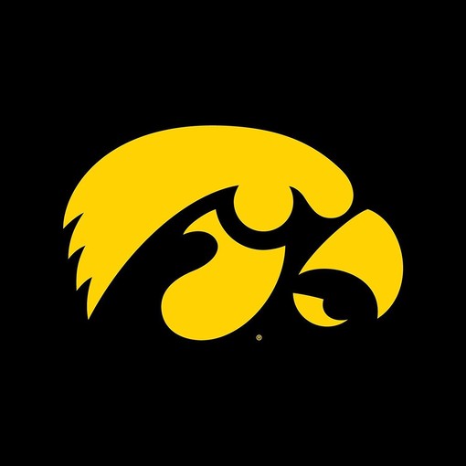 Iowa Hawkeyes University Block State University Shirt, NCAA Shirts for Men - Image 2