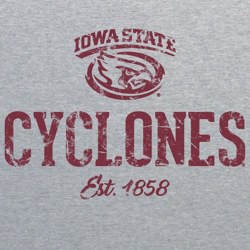 Iowa USA Wrestling Gold Official University of Iowa Wrestling American University T-Shirt - Image 2