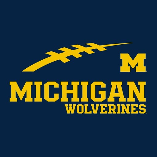 Keep it classic with this Michigan Wolverines Initial Arch Ncaa University Crewneck Shirt - Image 2