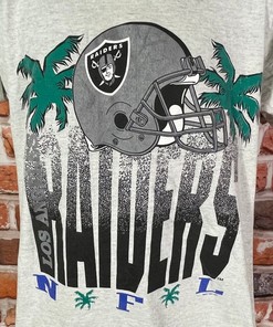 LA Raiders Palm Trees Shirt Hoodie Sweatshirt, 90s Single Stitched Los Angeles Tee, Retro NCAA Shirts