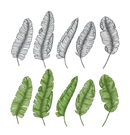 Leaves Shower Curtain for Botanical Bathroom Decor - Image 2