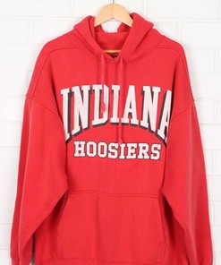 Looney Tunes Indiana Hoosiers Hoodie - Vintage 90s University of Indiana Hoosiers - Retro NCAA Shirts