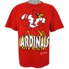 Louisville Cardinals Big Spell-Out T-Shirt, 1990s Retro NCAA Shirt - Unisex Sport Sweatshirt Hoodie Gift
