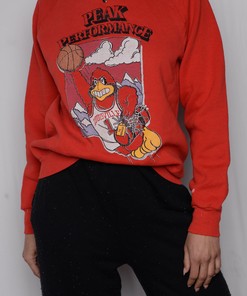 Louisville Super Soft Football Sweatshirt for Cardinals Sports Fans, Perfect for University Students