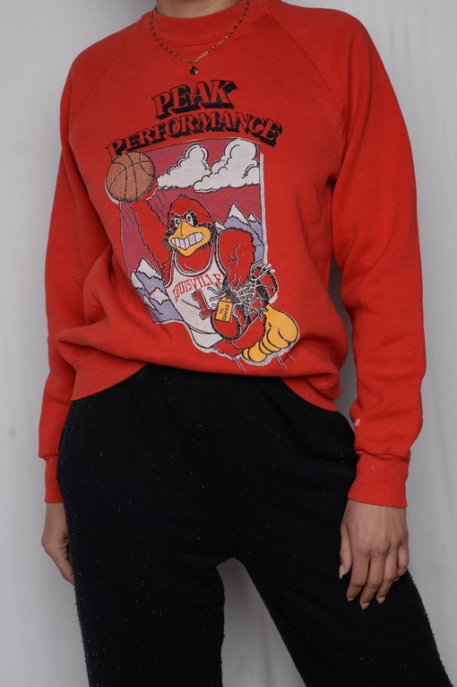Louisville Super Soft Football Sweatshirt for Cardinals Sports Fans, Perfect for University Students