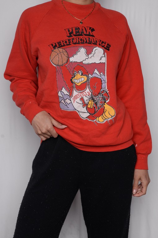 Louisville Super Soft Football Sweatshirt for Cardinals Sports Fans, Perfect for University Students - Image 3