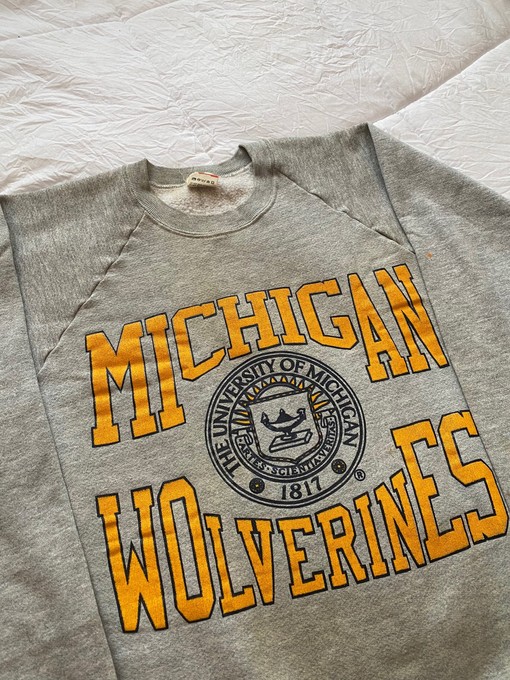 Michigan State Crew Neck Sweatshirt for Fans - NCAA Apparel - Image 2