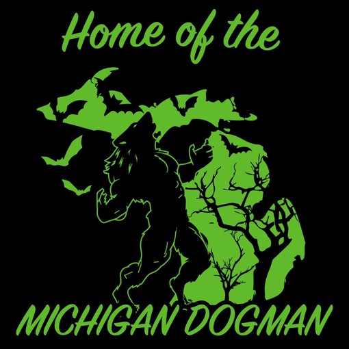 Michigan State Spartans Baseball Field Retro NCAA Shirt, Mens Sport Shirts - Image 2