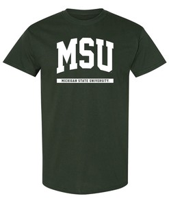 Michigan State Spartans Spirited Script Womens College Shirt, Michigan State University Sweatshirt