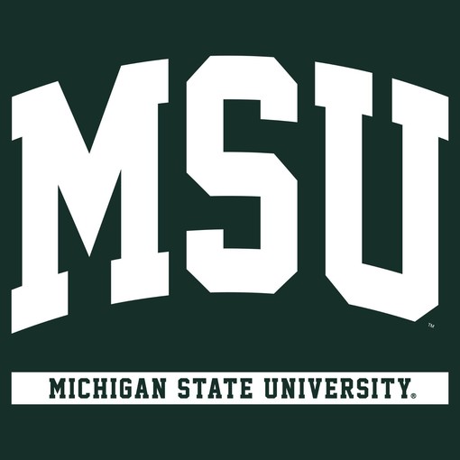 Michigan State Spartans Spirited Script Womens College Shirt, Michigan State University Sweatshirt - Image 2