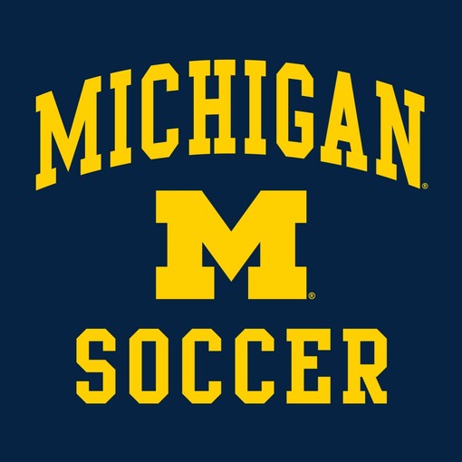 Michigan Wolverines Basketball Brush State Crewneck Shirt for Sports Lovers - Image 2