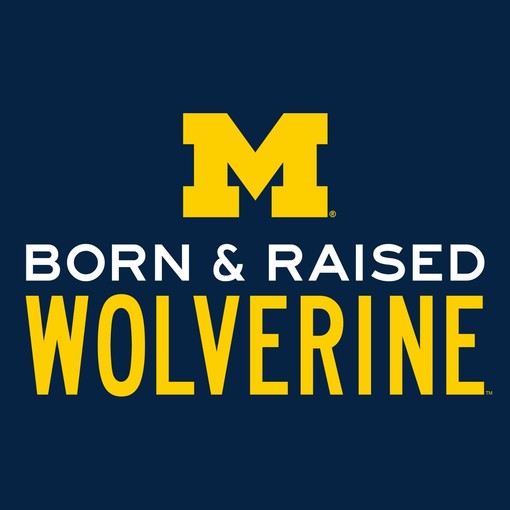 Michigan Wolverines Collegiate Shirt Sweatshirt Pullover Hoodie for College Shirts Fans - Image 2