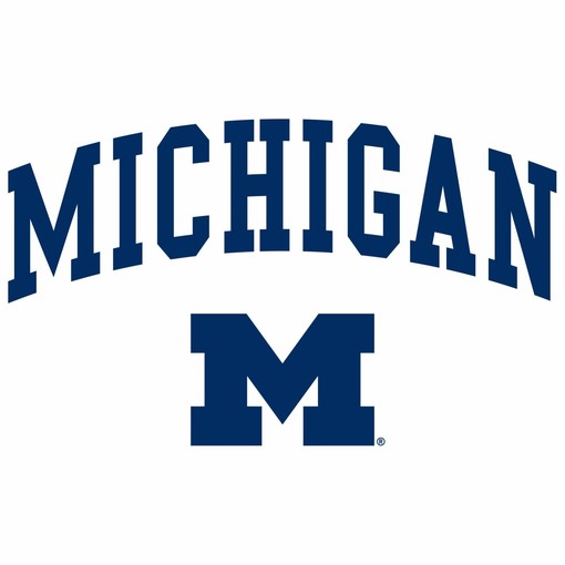 Michigan Wolverines Logo Shirt Sweatshirt Pullover Hoodie perfect for NCAA Shirts Fans - Image 2