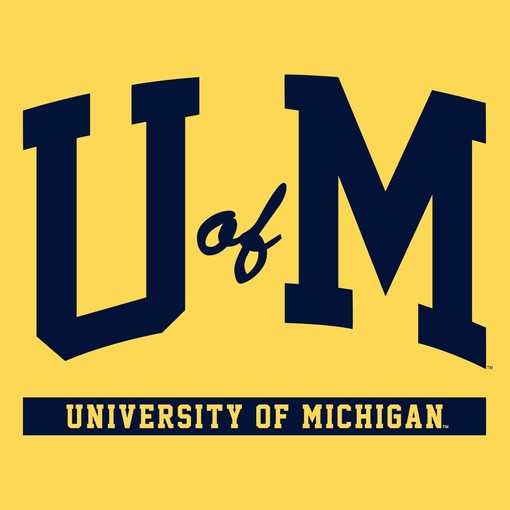 Michigan Wolverines Plaid Circle Crewneck Shirt for College Sports Enthusiasts - Image 2