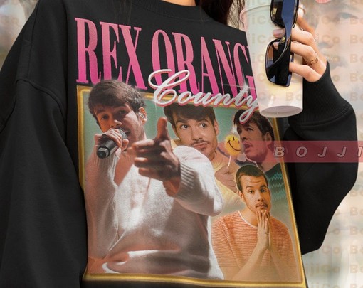 Minimalist Rex Orange County Sweatshirt - Vintage Inspired Fan Sweater - Image 4