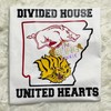 NCAA Shirts - Divided House United Hearts Team T-Shirt, Uapb T-Shirt, Razorback T-Shirt, Golden Lions Shirt.