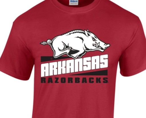 NCAA Shirts for Women: Arkansas Razorbacks Youth T-Shirt