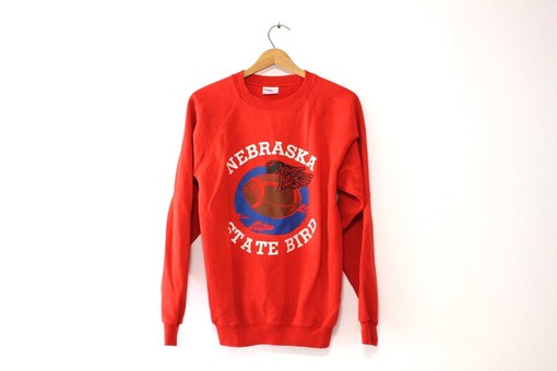Nebraska State Bird Football Sweatshirt, Vintage NCAA Gist Fans Unisex