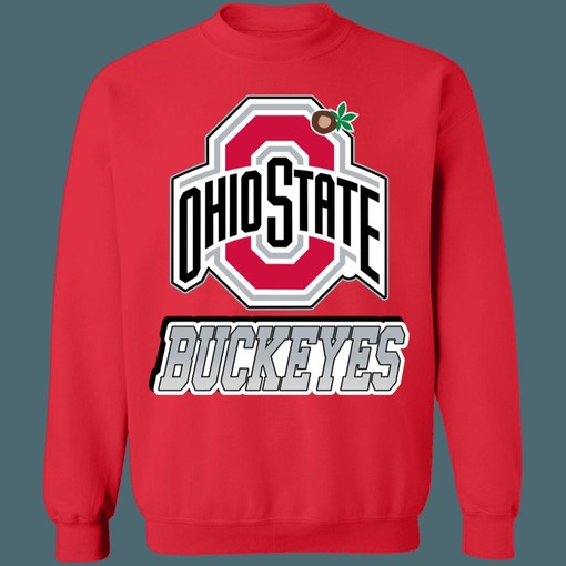 Ohio State Buckeyes Vintage NCAA Sweatshirt Hoodie Shirt with American University Logo