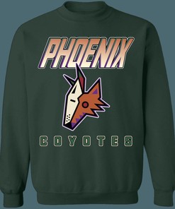 Phoenix Coyotes Kachina Vintage NHL Hoodie Sweatshirt - Ideal for Hockey Enthusiasts