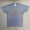 Pittsburgh Steelers Champion Sweatshirt T-shirt, Vintage NCAA Football Teams Gifts for Fans